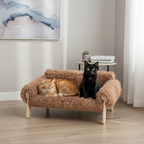 Modern Raised Cat Bed