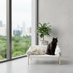 Modern Raised Cat Bed